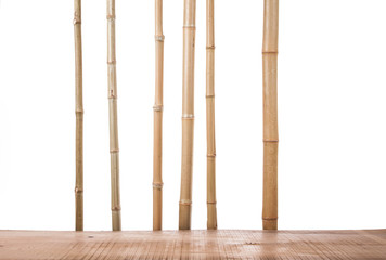 bamboo stalks on a white background