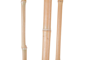 bamboo stalks on a white background