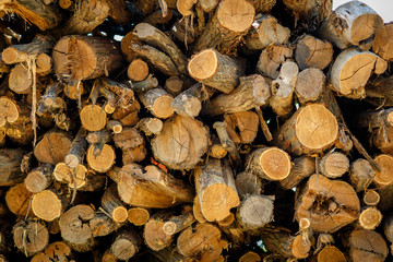 Wood Pile