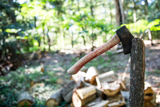 Axe in tree trunk in forest
