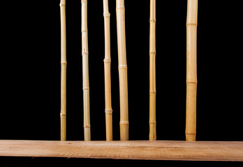 bamboo stalks on a black background