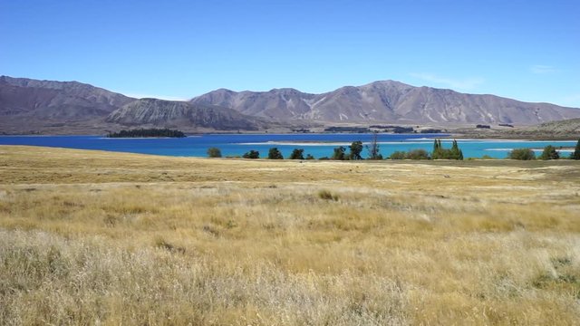 lake Tekapo and breezing