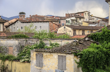 Fototapeta na wymiar Lucca vista da sopra le mura