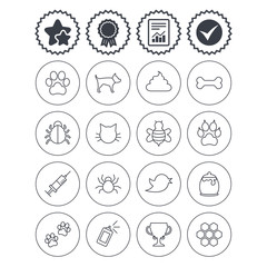 Pets and Insect icon. Dog, Cat paw with clutches.