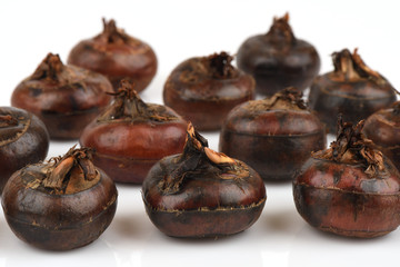Chinese Water Chestnut, fruits Medicinal properties.