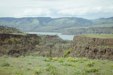 Columbia Gorge Landscape - 145167951