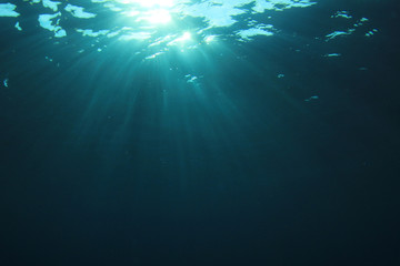 Underwater 