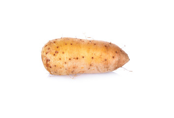 raw potato Dioscorea  burmanica (Mon Nok-Thai text), it is local potato of Thailand