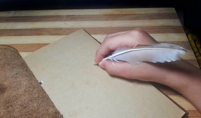 Hand writing using feather pen on retro leather cover book
