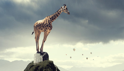 Power and leadership concept . Mixed media © Sergey Nivens