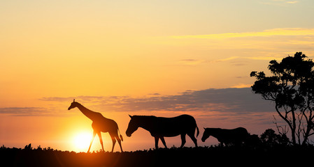 Naklejka na ściany i meble Natural Safari landscape in lights of sunset . Mixed media