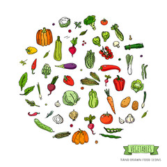 Hand drawn doodle seasonal vegetables icons set. Vector illustration. Carton food symbols collection. Isolated on white background. Sketchy style: tomato, potato, cabbage, squash, pepper, corn, carrot