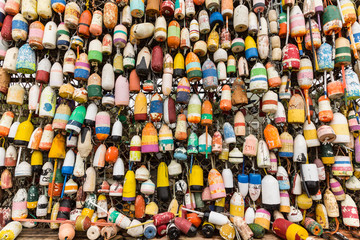 Obraz premium Crab Floats