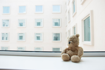 Lonely bear is sitting by the window