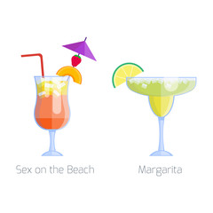 Set of alcoholic cocktails isolated fruit cold drinks tropical margarita freshness and party alcohol sweet tequila vector illustration.
