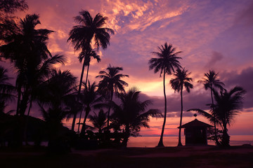 Beautiful coconut beach sunrise with purple sky in Thailand. 