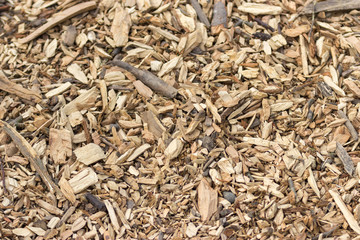 Texture of wood chips in natural form