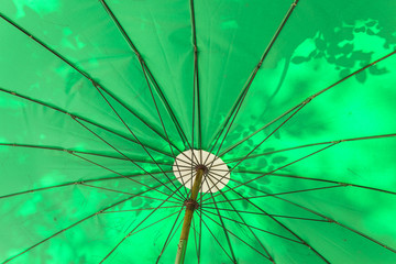 green umbrella background