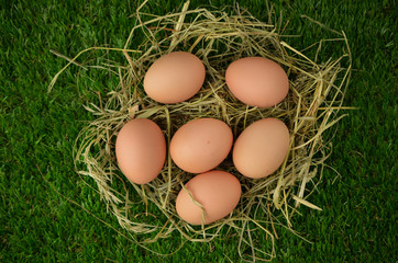 Easter eggs on hay