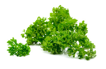 Fresh parsley herb isolated on white