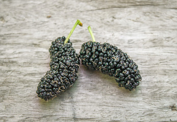 Fresh ripe mulberry berries on tree Fresh mulberry