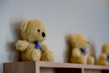 Tiny teddy bear doll sit on wooden shelf