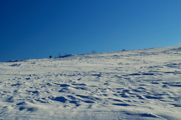 Fototapeta na wymiar panorama wzgórz