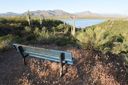 Sitzbank am Ufer eines Sees in der Arizona mit Kakteen
