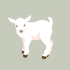  kid goat  vector illustration style Flat 