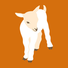  kid goat  vector illustration style Flat 