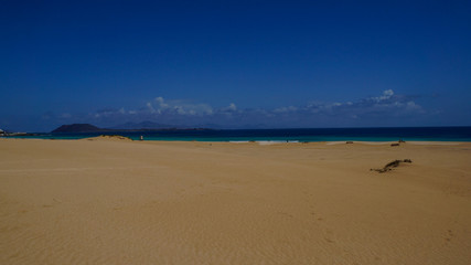 White sand beach of Corralejo on the island of Fuerteventura