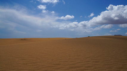Fototapeta na wymiar Sand Dunes of Corralejo on the island of Fuerteventura