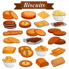Set of yummy assorted Cookies and Biscuit Food dessert