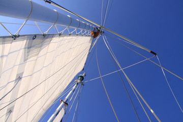 Sail up to the Blue Sky