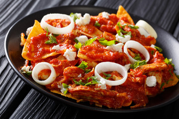 Mexican food fried tortillas with chicken and tomato salsa closeup. horizontal