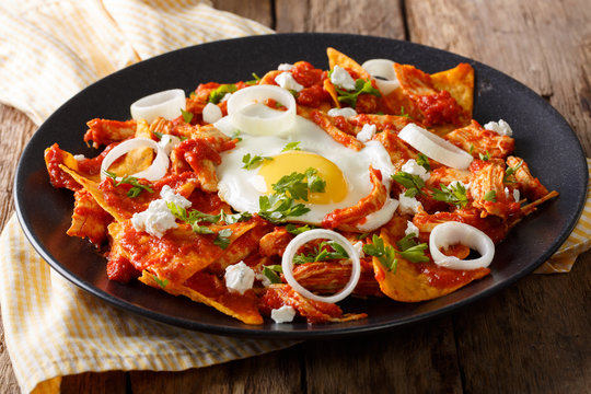 Mexican nachos with tomato salsa, chicken and egg close-up. horizontal