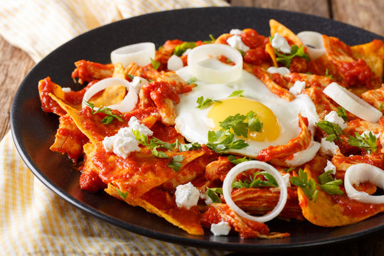 Tortillas with tomato salsa, chicken and egg close-up. horizontal
