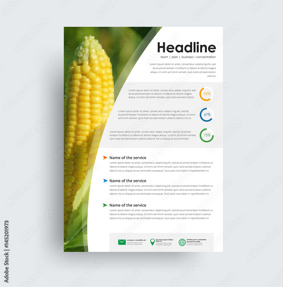 Poster flyer format a4 format. cover design with photo corn.