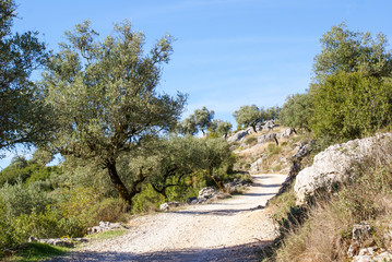 Buracas do Casmilo, Coimbra, Portugal