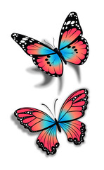 Fototapeta na wymiar butterfly tribal tattoo