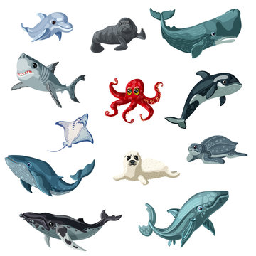 Cartoon Colorful Underwater Animals Set