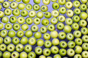 Green delicious apples in packing tub at fruit warehouse