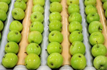 Green delicious apples in packing tub at fruit warehouse