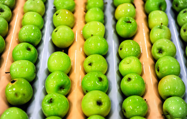 Green delicious apples in packing tub at fruit warehouse - obrazy, fototapety, plakaty