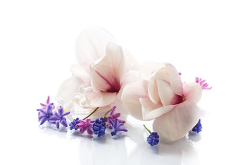 Set of spring flowers with magnolia