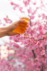 beer and cherry tree