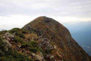 На склонах хребта Аибга, вблизи Розы Хутор, Сочи, Россия