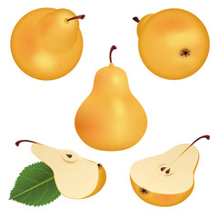 Yellow pear from different sides. Isolated on white background.