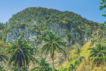 Fototapeta premium Morning time in Thailand.