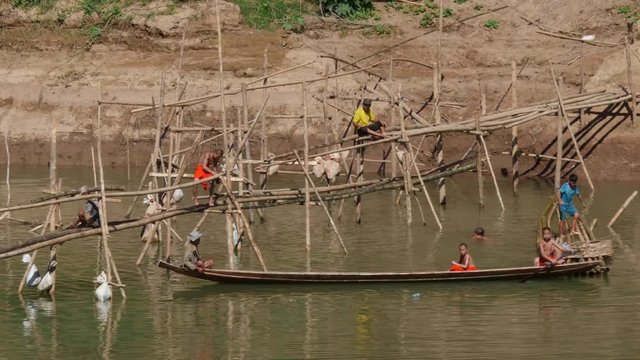 Monks building bamboo bridge across the River in Luang Prabang Laos